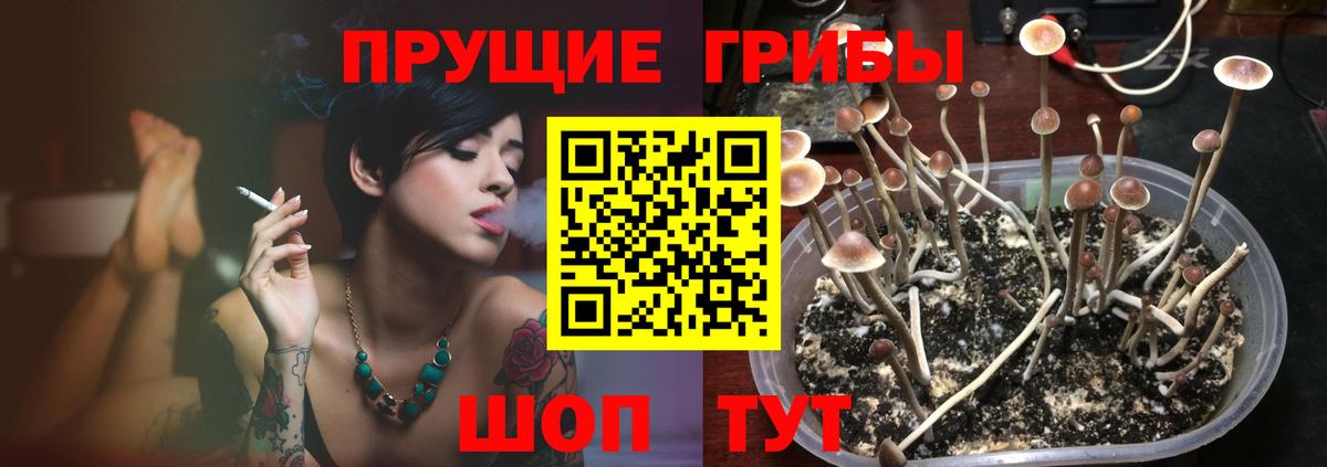 Псилоцибиновые грибы мицелий  Вход с VPN  Ипатово 
